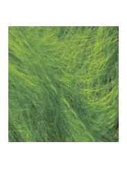 Пряжа Alize Mohair Classic New 210 (зеленная трава)